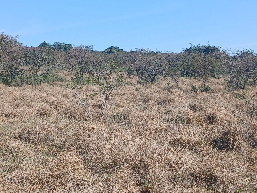0 Bedroom Property for Sale in Kei Road Eastern Cape